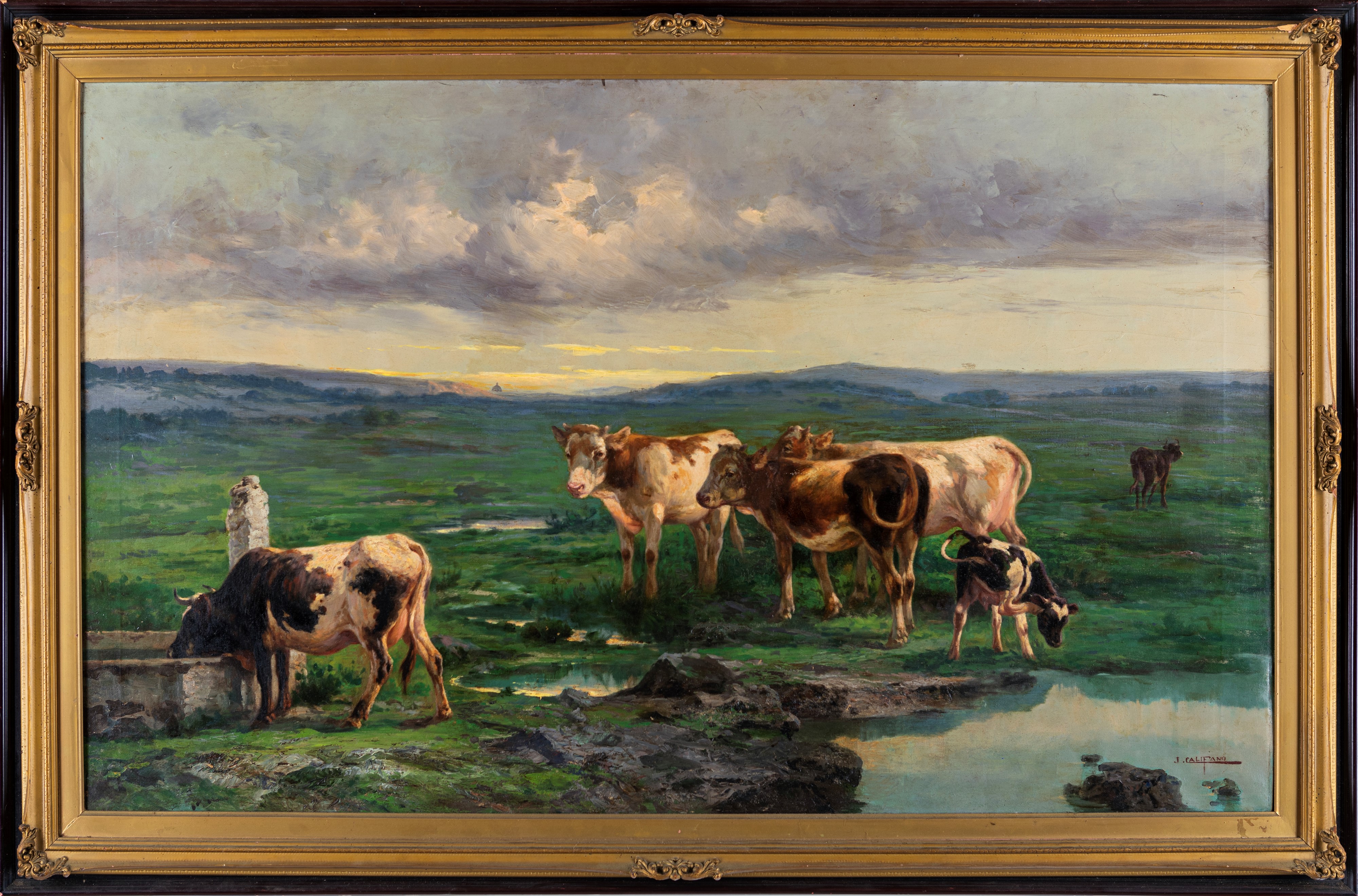 John Edmund Califano - Mucche al Pascolo
