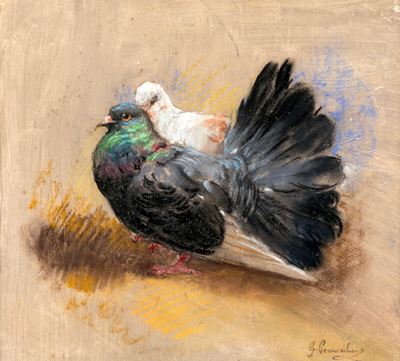Piccioni