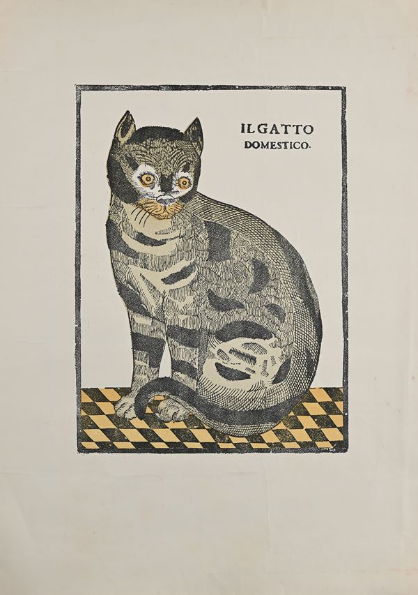 Il Gatto domestico litografia di Ramondini  - Asta La Collezione Enrico e Antonello Falqui. Di padre in figlio una vita nell'arte. - I - Casa d'Aste Arcadia