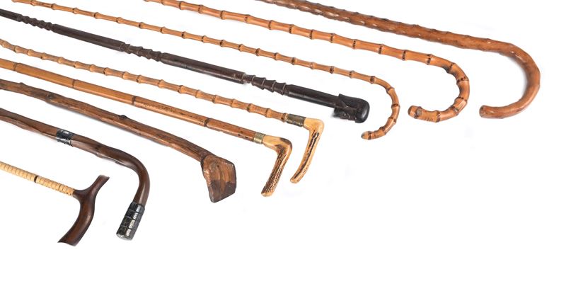 Nove bastoni da passeggio di canna incurvata