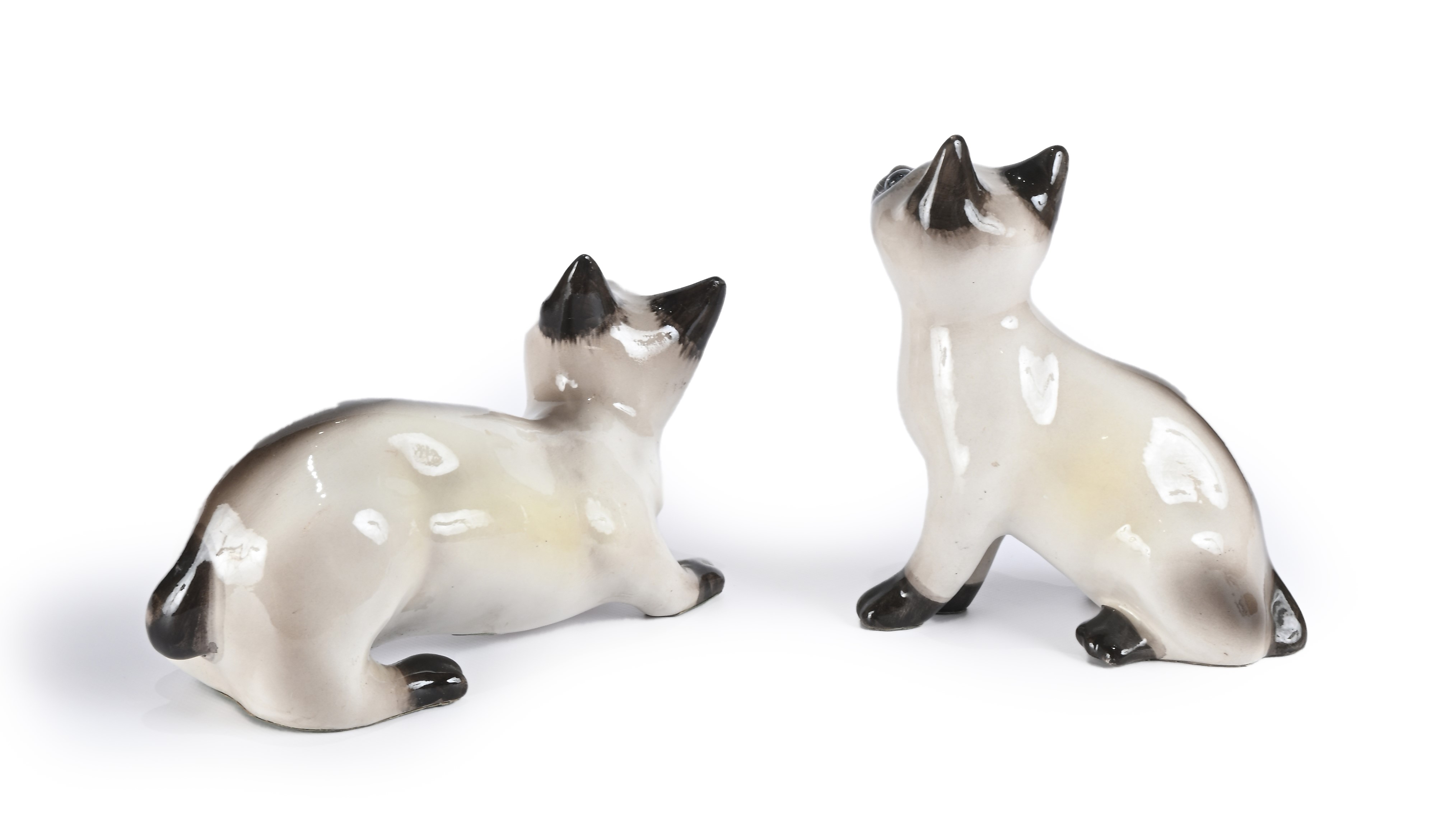 Due cuccioli siamesi in ceramica policroma