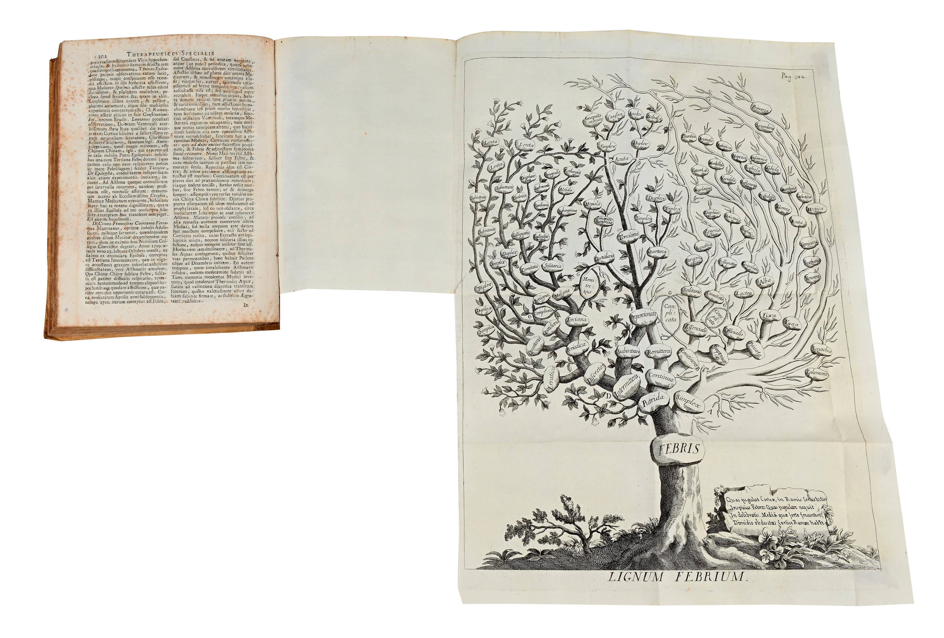 Francisci Torti - Therapeutice specialis ad Febres Periodicas Perniciosas