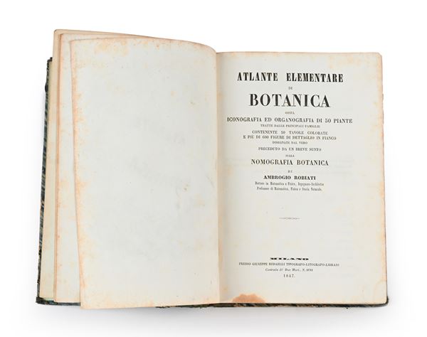 Ambrogio Robiati - Atlante elementare di botanica ossia iconografia ed organografia di 50 piante tratte dalle principali famiglie contenente 50 tavole colorate e più di 600 figure di dettaglio in fianco disegnate dal vero 