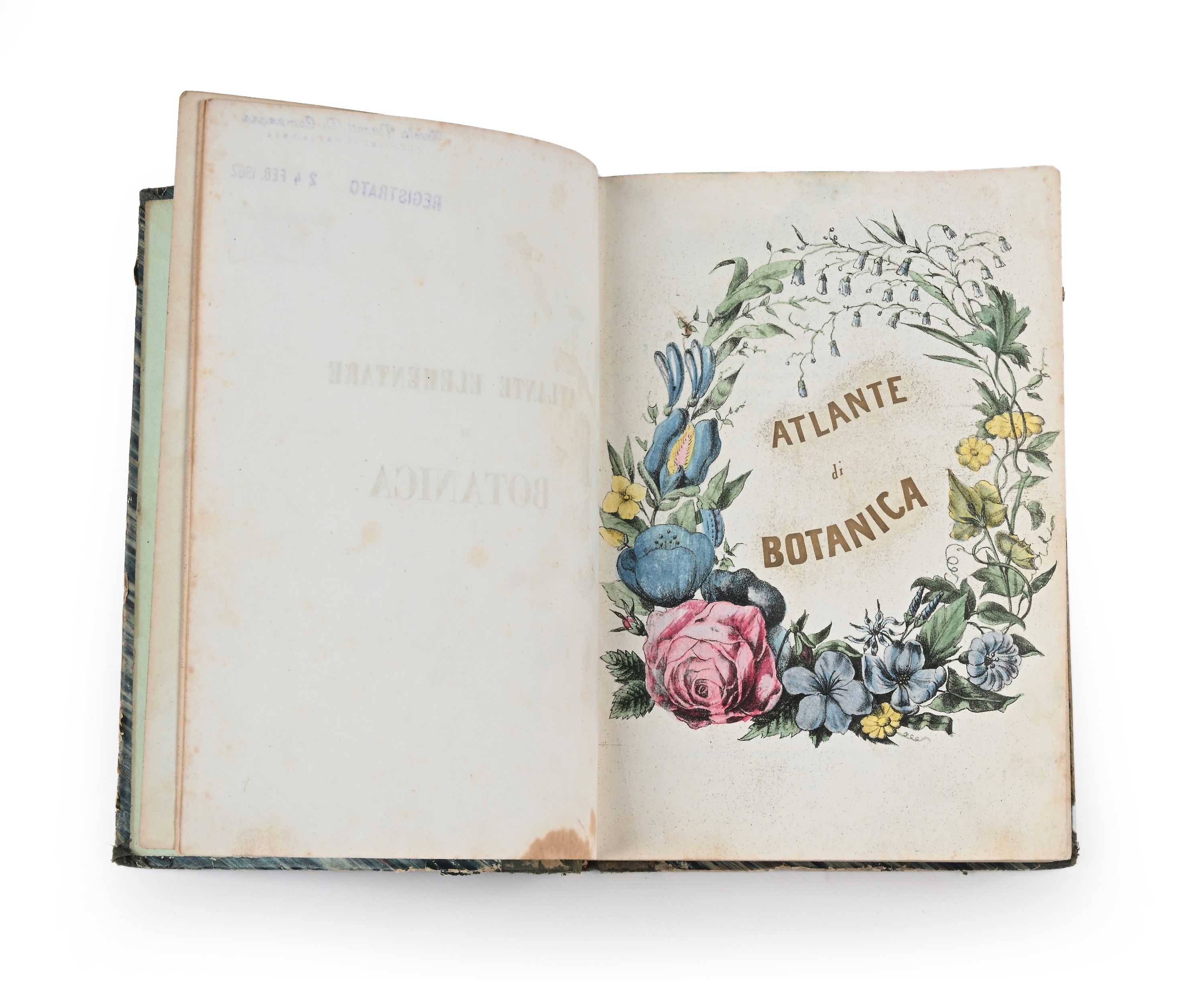 Ambrogio Robiati - Atlante elementare di botanica ossia iconografia ed organografia di 50 piante ...