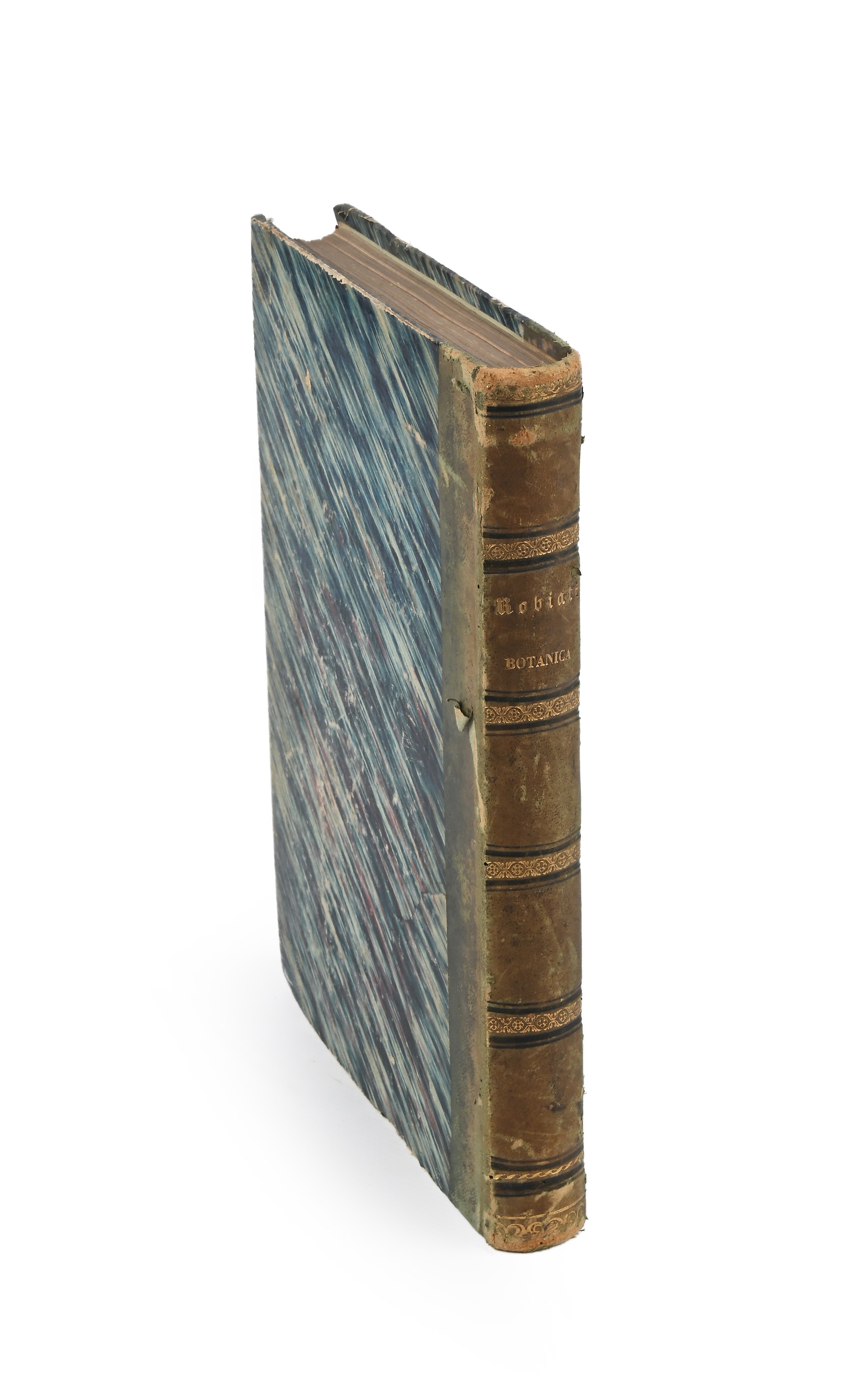 Ambrogio Robiati - Atlante elementare di botanica ossia iconografia ed organografia di 50 piante ...