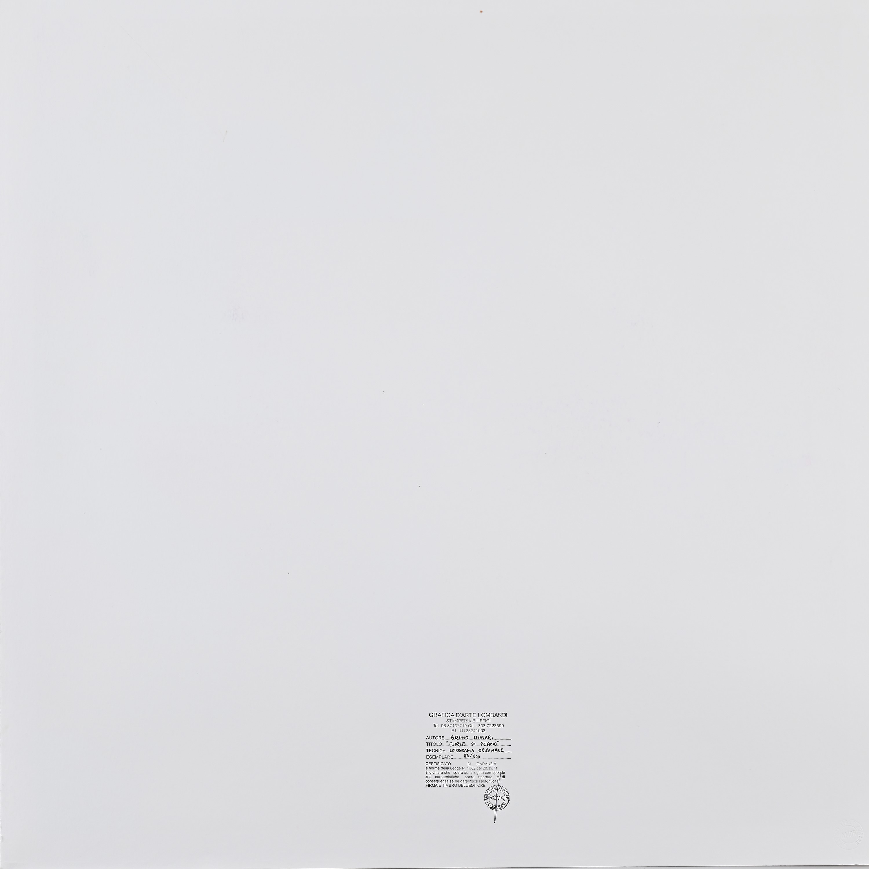 Bruno Munari - Curve di Peano