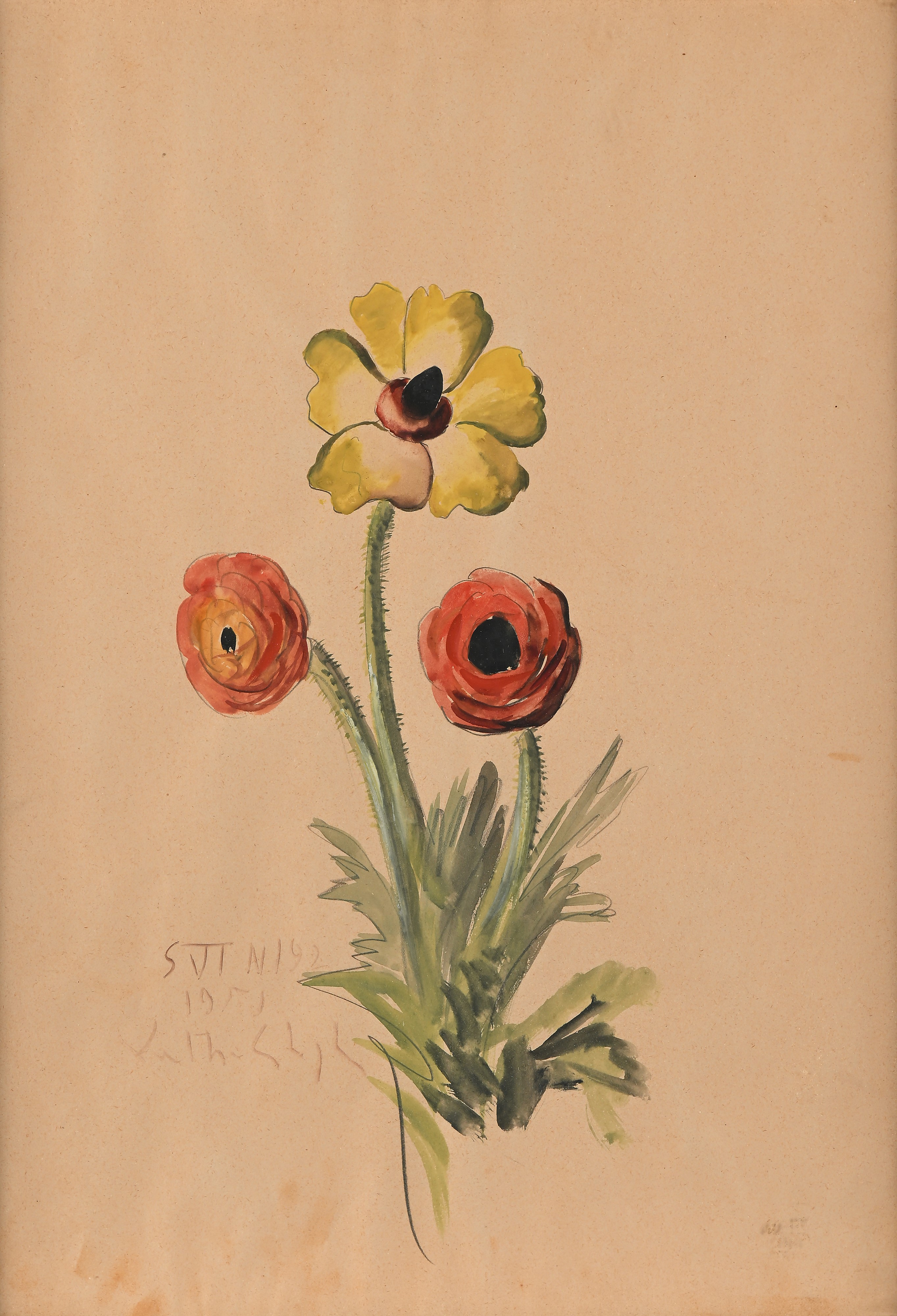 Paulo Ghiglia - Fiori X2