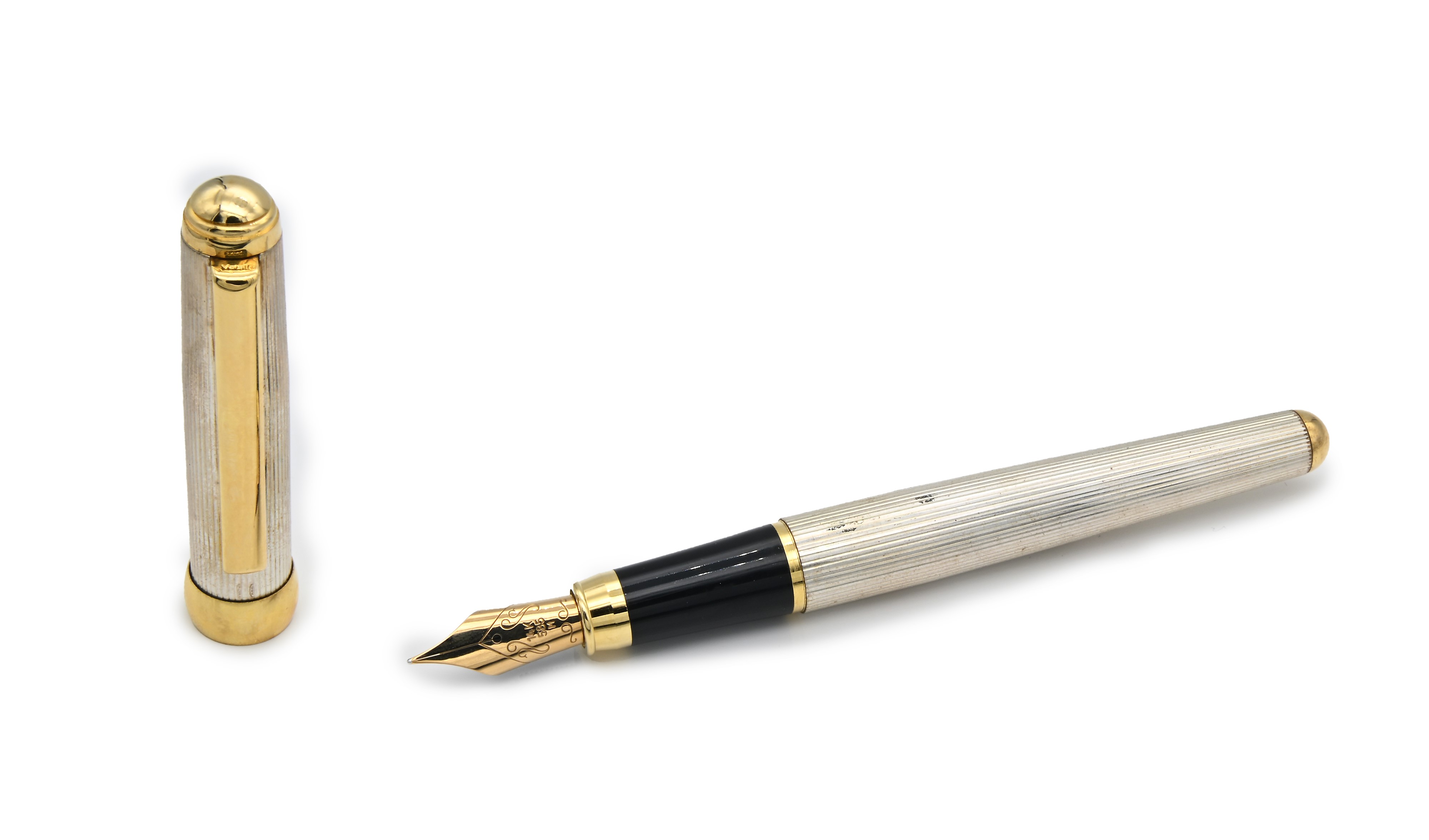 Grande Penna Stilografica in Argento 925/000