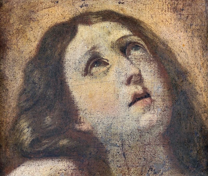 Scuola Bolognese del XVIII Secolo - Testa di Santa in Estasi