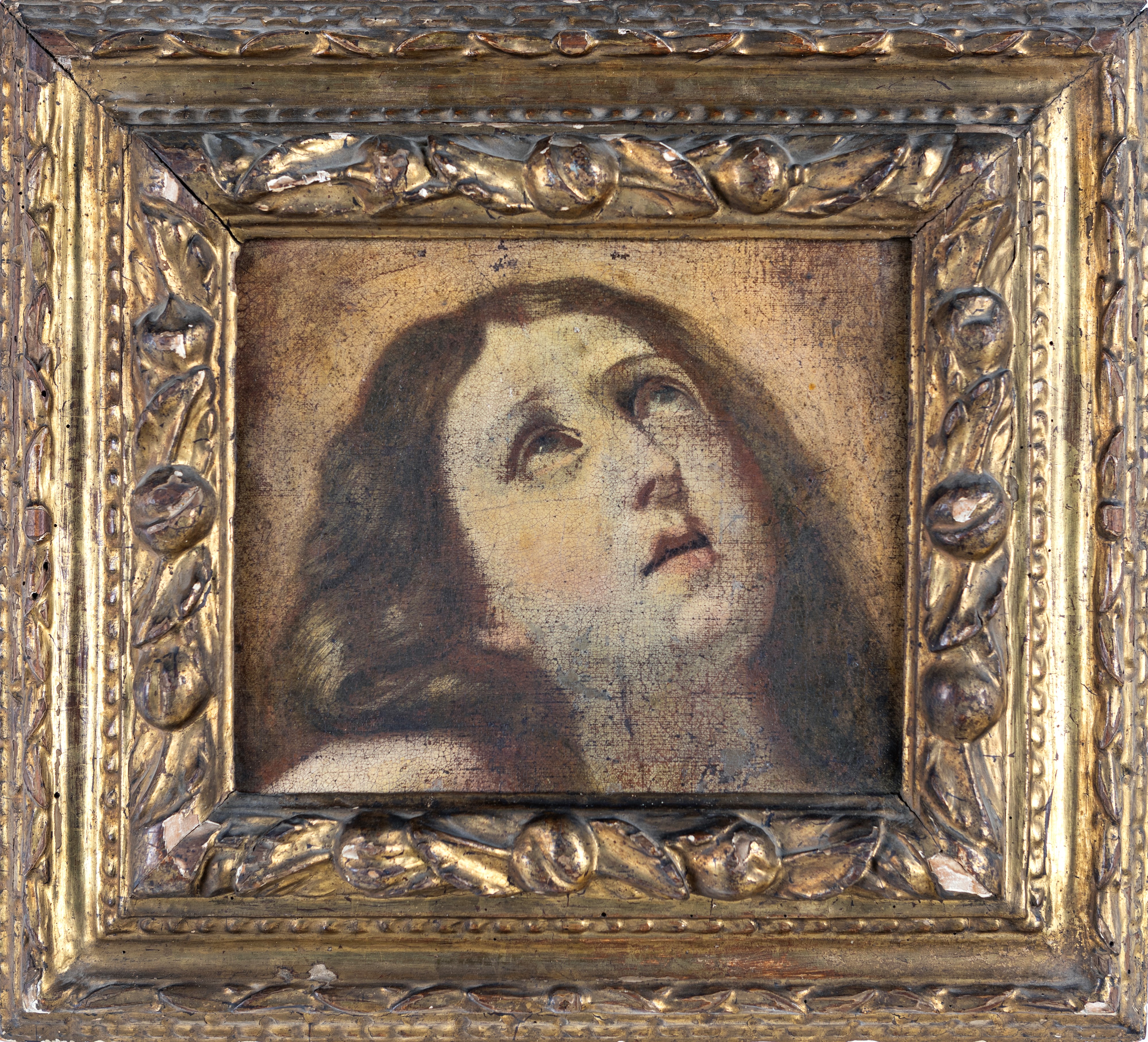 Scuola Bolognese del XVIII Secolo - Testa di Santa in Estasi