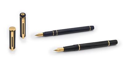 Waterman - 2 Penne Stilografiche in Metallo Smaltato con Finiture Dorate