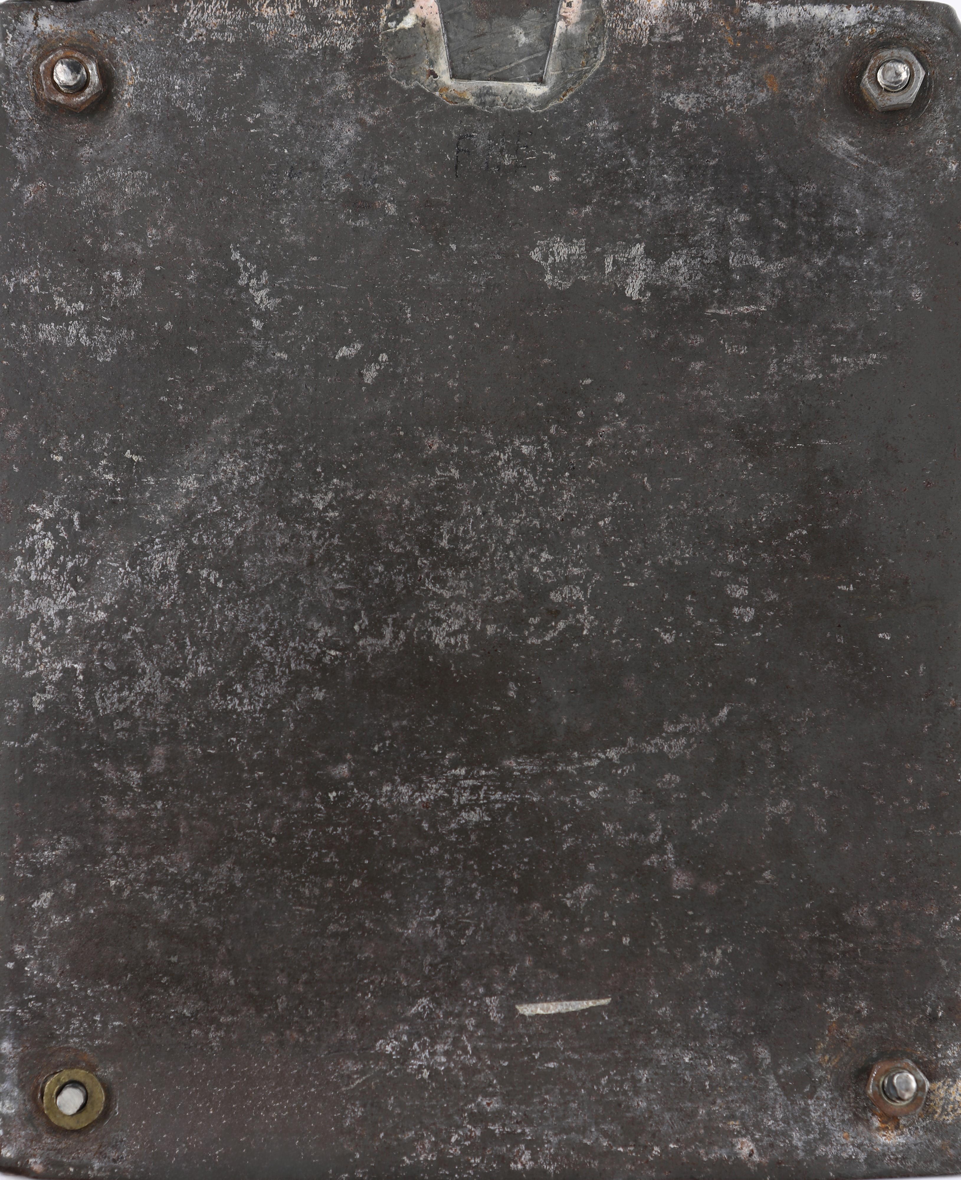 Ritratto giovanile di Carlo Augusto di Sassonia Weimar-Eisenach