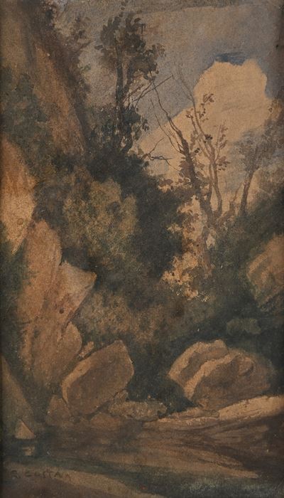 Paesaggio Boschivo