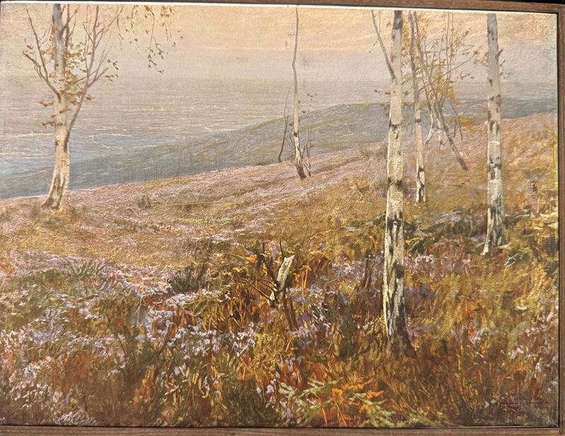 Paesaggio Invernale con Erica in Fiore