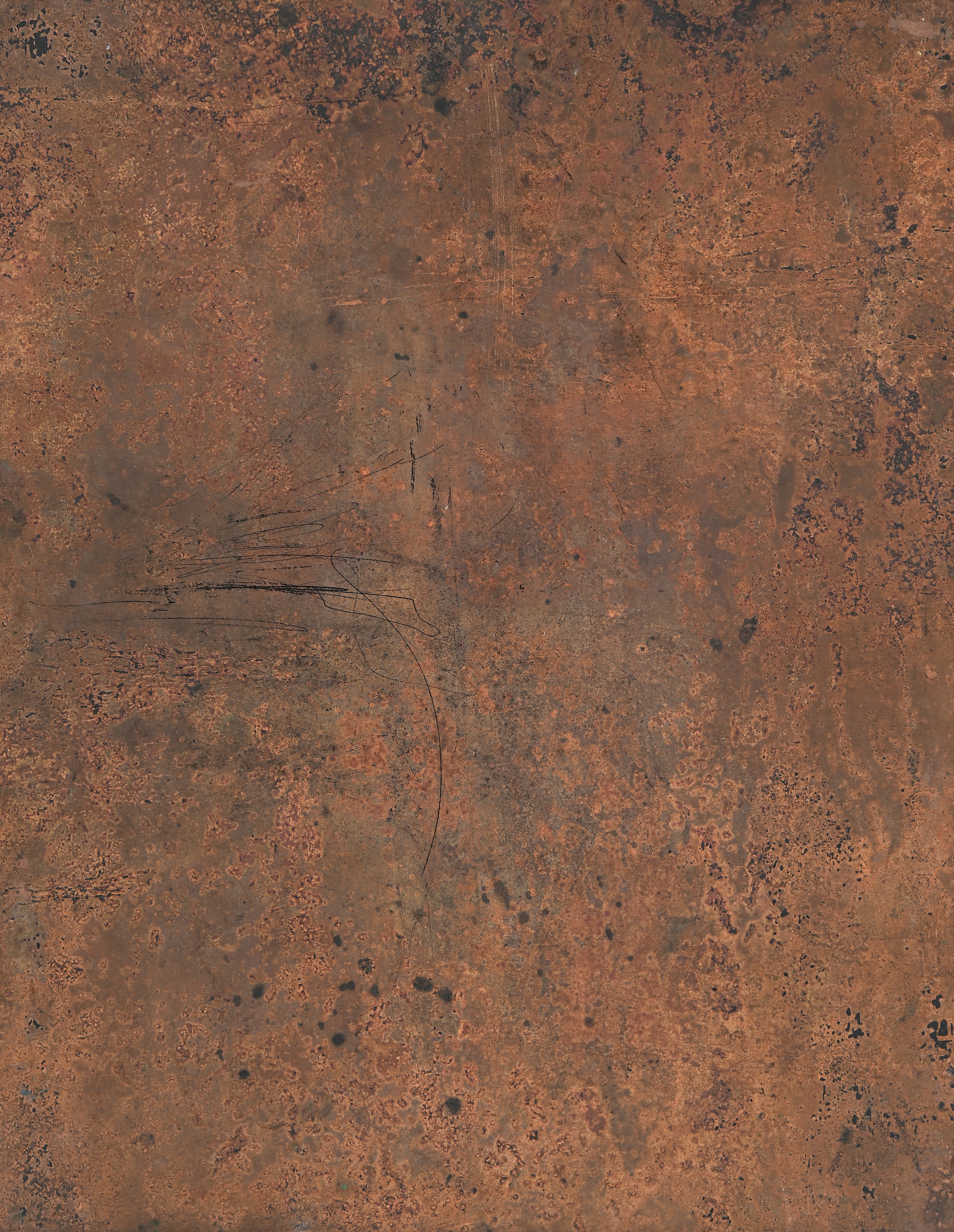 Franciscus pauper et humilis