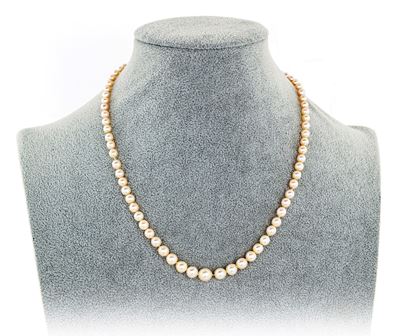 Collana di Perle Coltivate a Gradazione, Chiusura in Oro