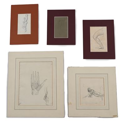 Cinque Studi Anatomici