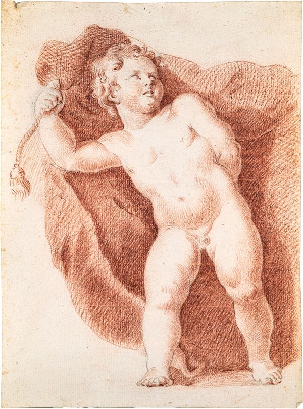 Scuola Romana del XVIII secolo - Studio di putto