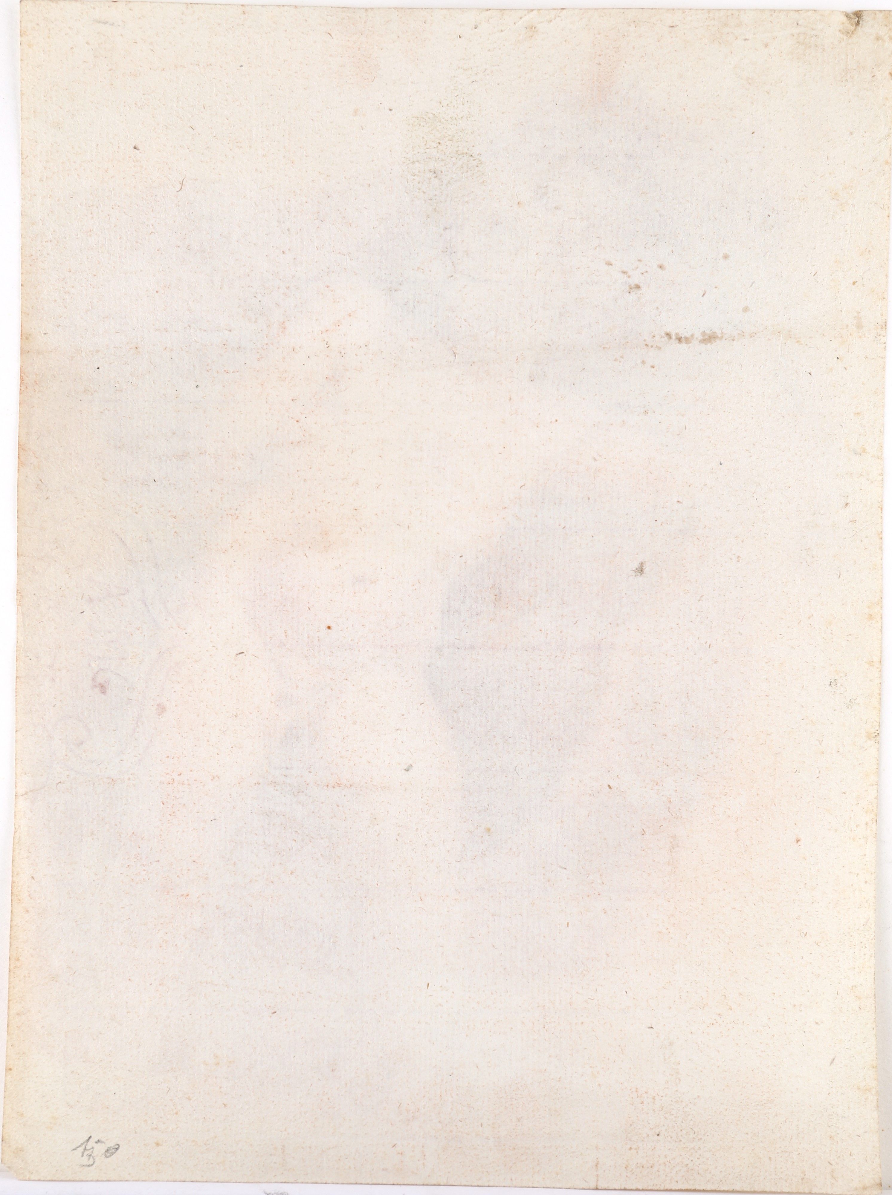 Scuola Romana del XVIII Secolo - Studio di Putto