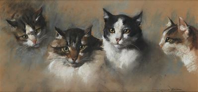 Gatti