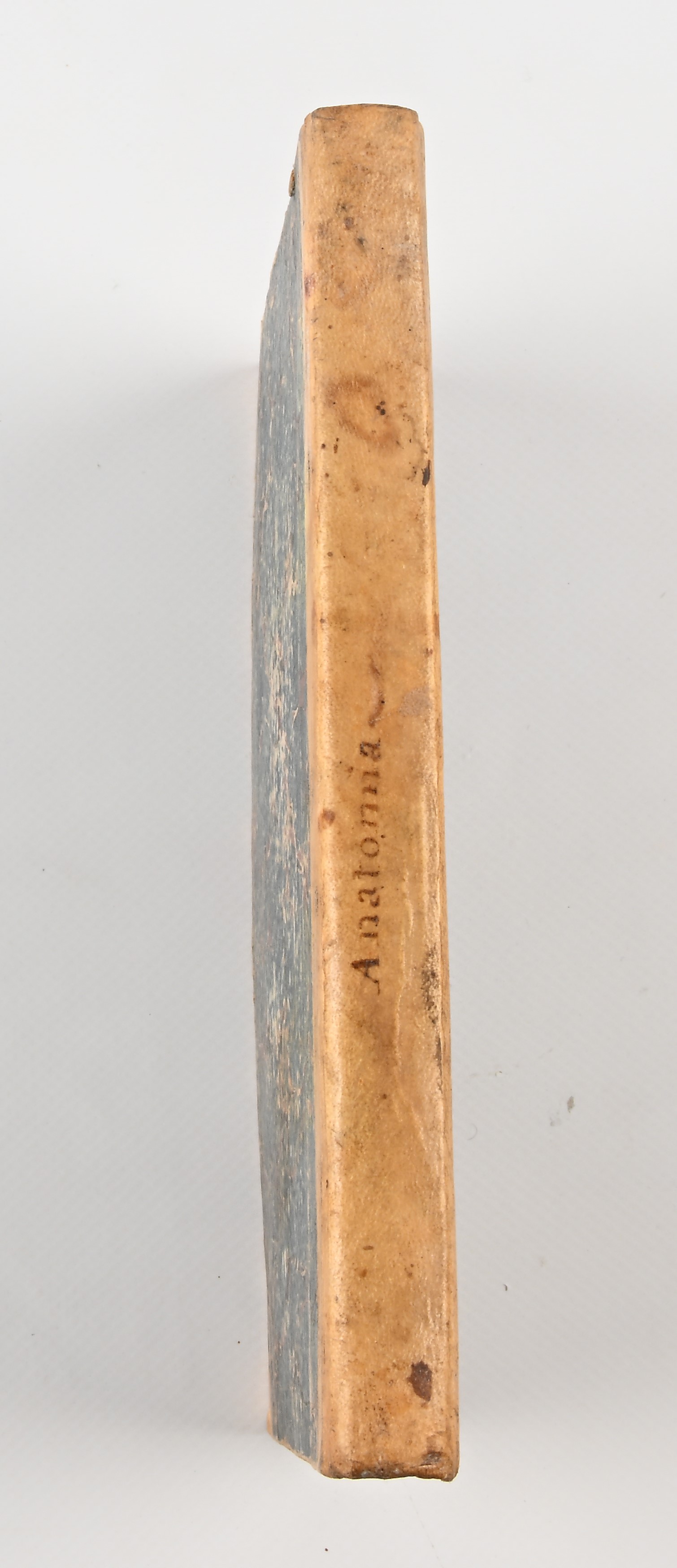 Leopoldo Uguccioni - Elementi di anatomia esterna / Insieme a 2 opuscoli: Vincenzo Colosimo - Su ...