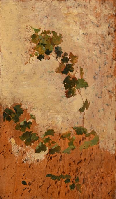 Studio di Vegetazione per il Dipinto: 'la Primavera'