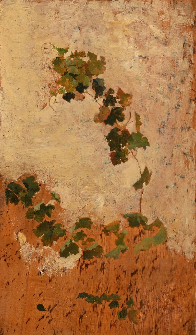 Giovanni Boldini - Studio di Vegetazione per il Dipinto: 'la Primavera'