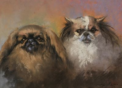 Due Cagnolini