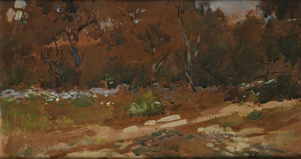 Il sentiero nel bosco