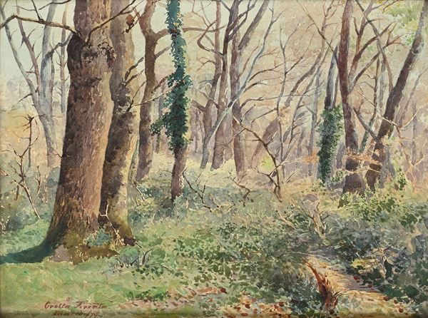 Bosco a Grottaferrata