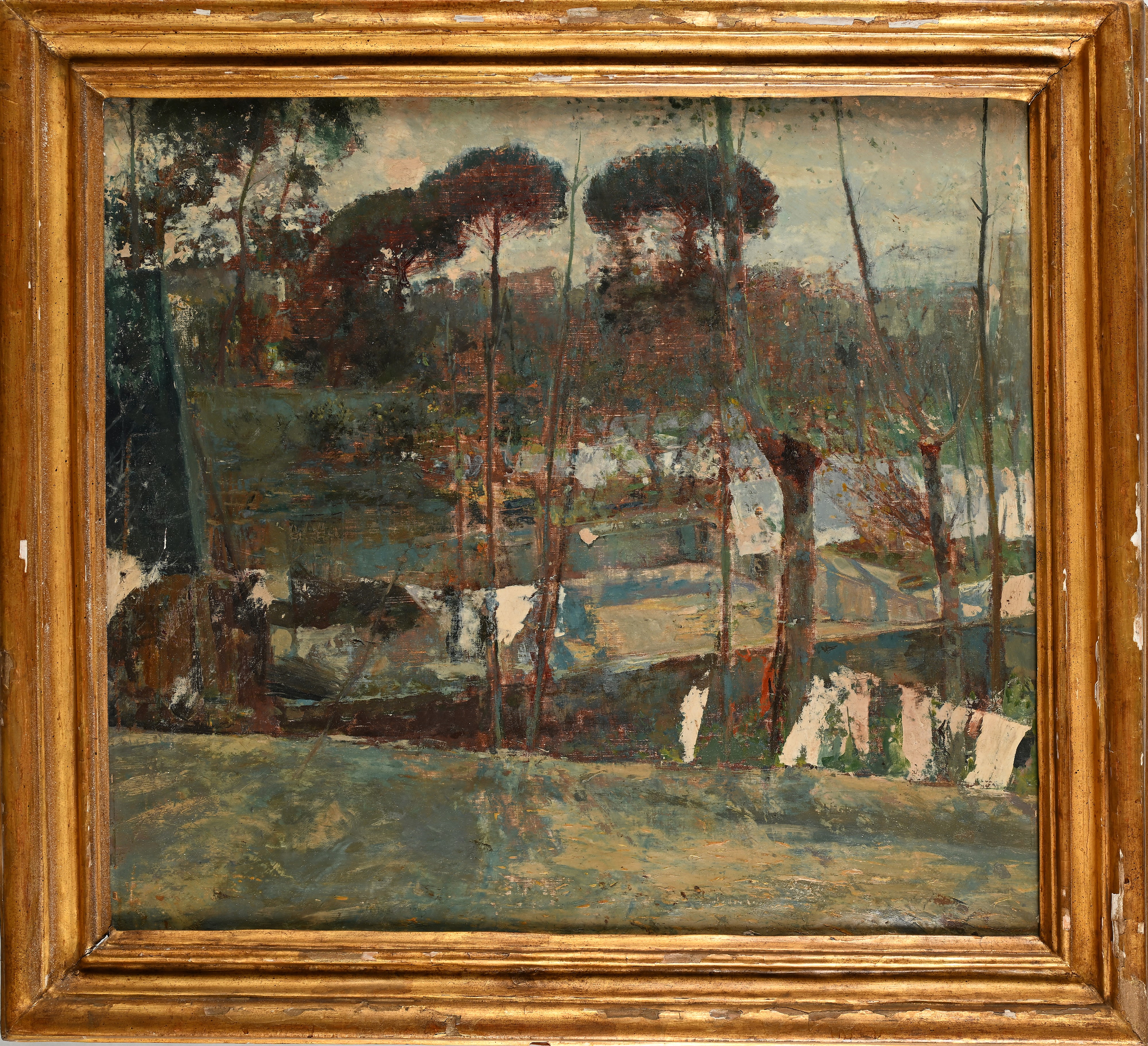 Scuola Italiana del XX Secolo - Paesaggio di Campagna con Pini Marittimi