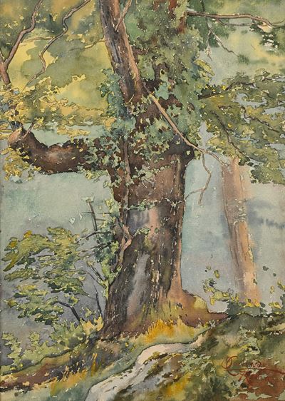 Alberi