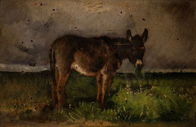 Asino che Bruca in un Paesaggio di Campagna