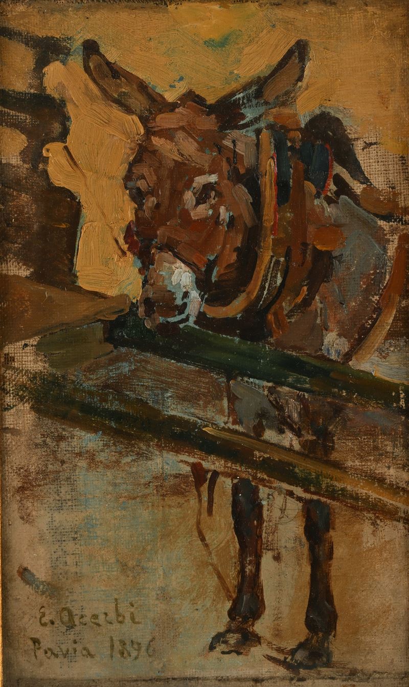 Ezechiele Acerbi - Il Somarello