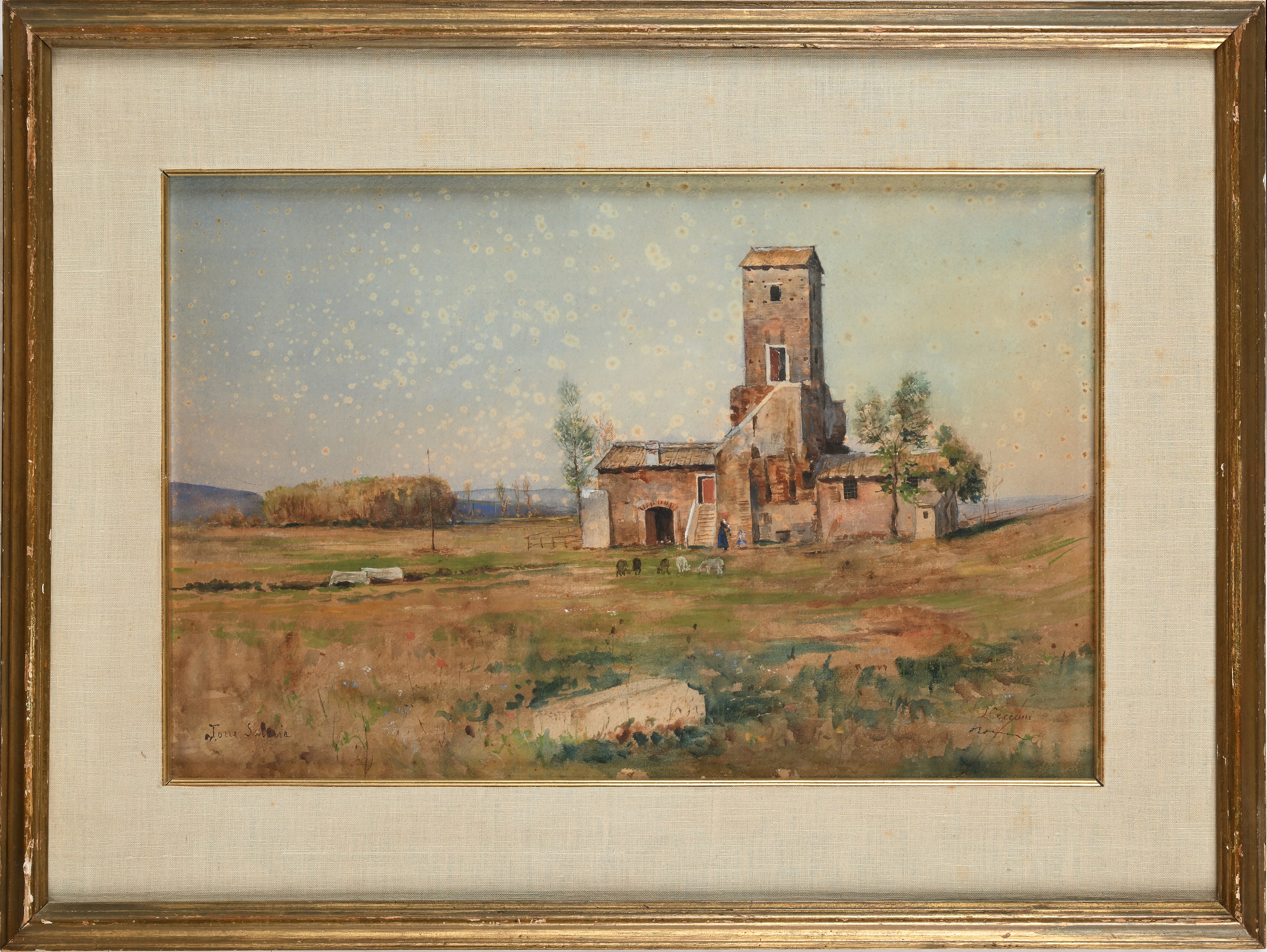 Lorenzo Cecconi - Roma, 'torre Salaria'