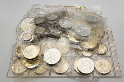 Lotto Canada: 4 Monete da 10 Dollari; 18 Monete da 5 Dollari; 22 Monete da 1 Dollaro; 10 Mezzi Do...