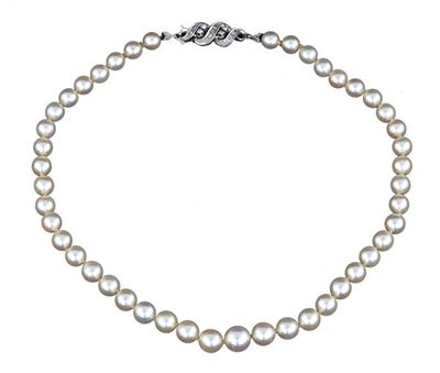 Collana di Perle Coltivate Giapponesi