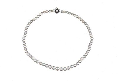 Collana di Perle Coltivate Giapponesi