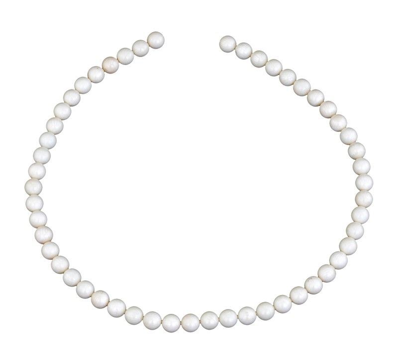 Filo di Corallo Bianco
