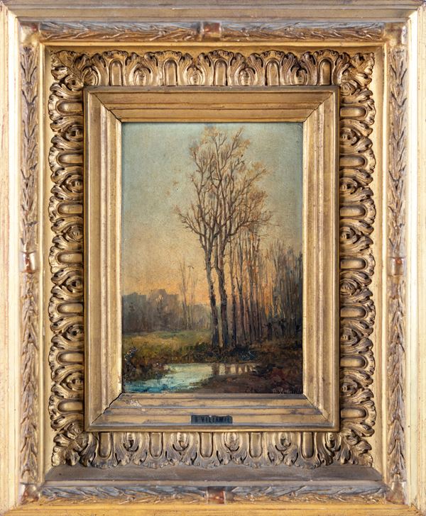 Alberi lungo il fiume