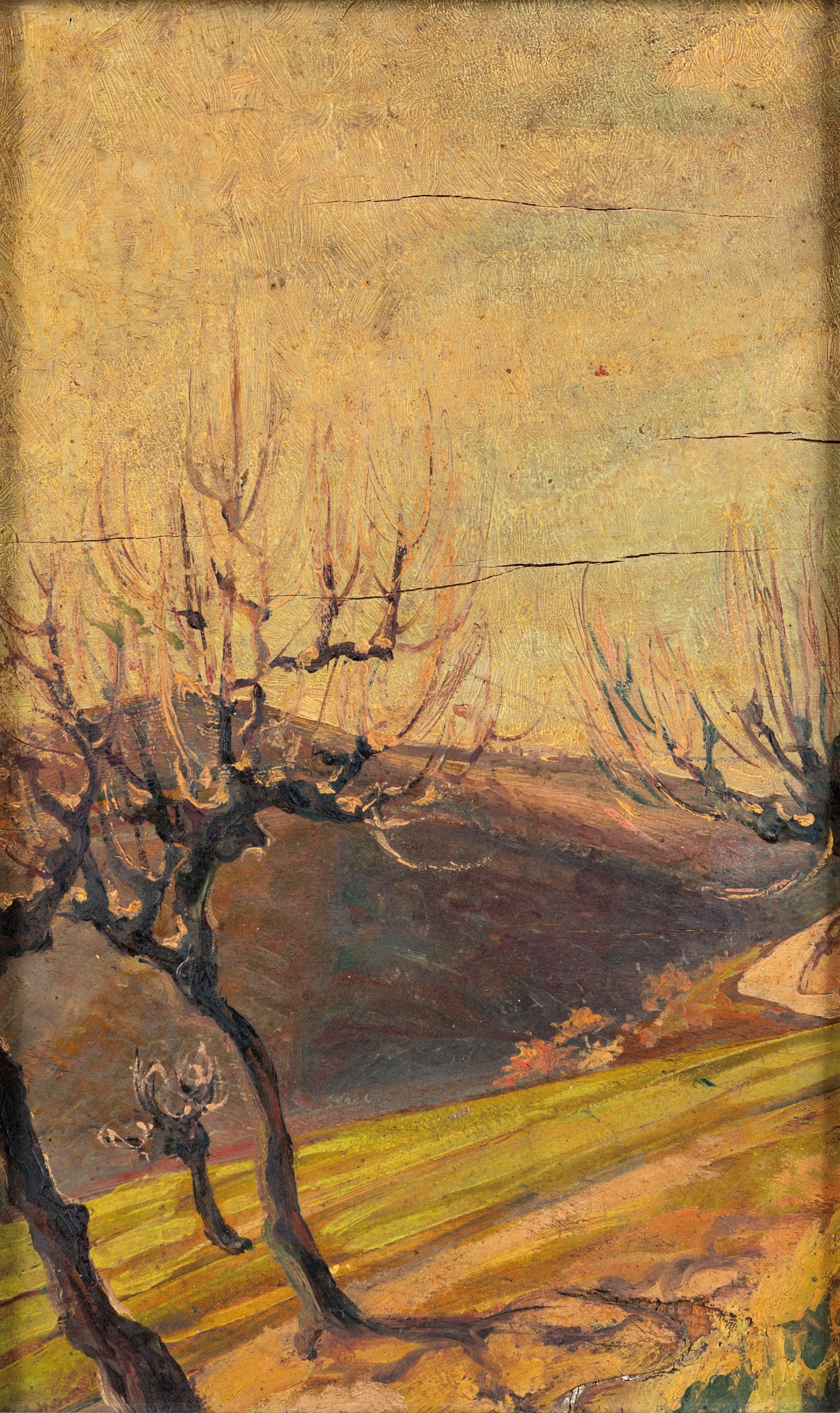 Scuola Italiana del XX Secolo - Alberi in Collina