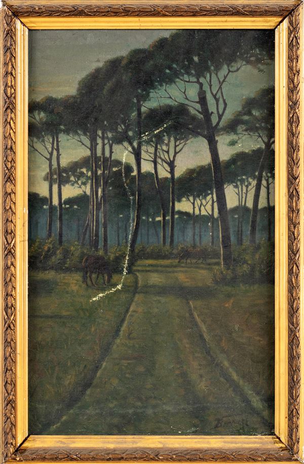 Cavalli in una pineta