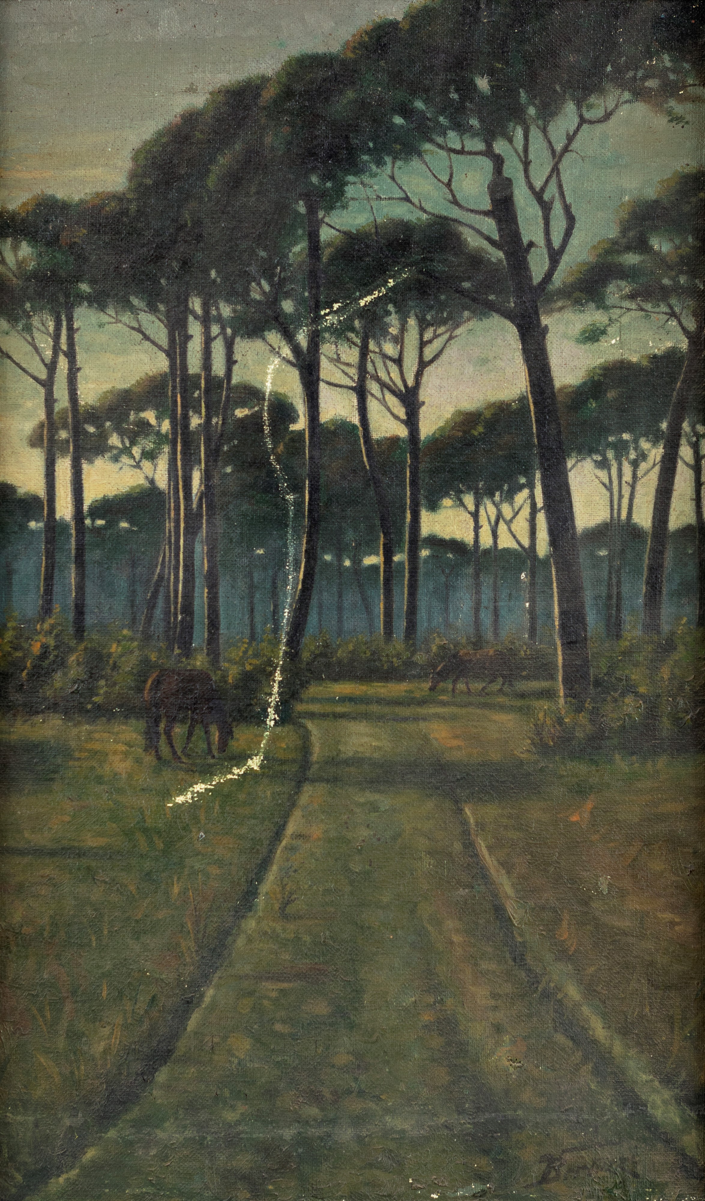 Bertuzzi (scuola Italiana del XX Secolo) - Cavalli in una pineta, olio su tela