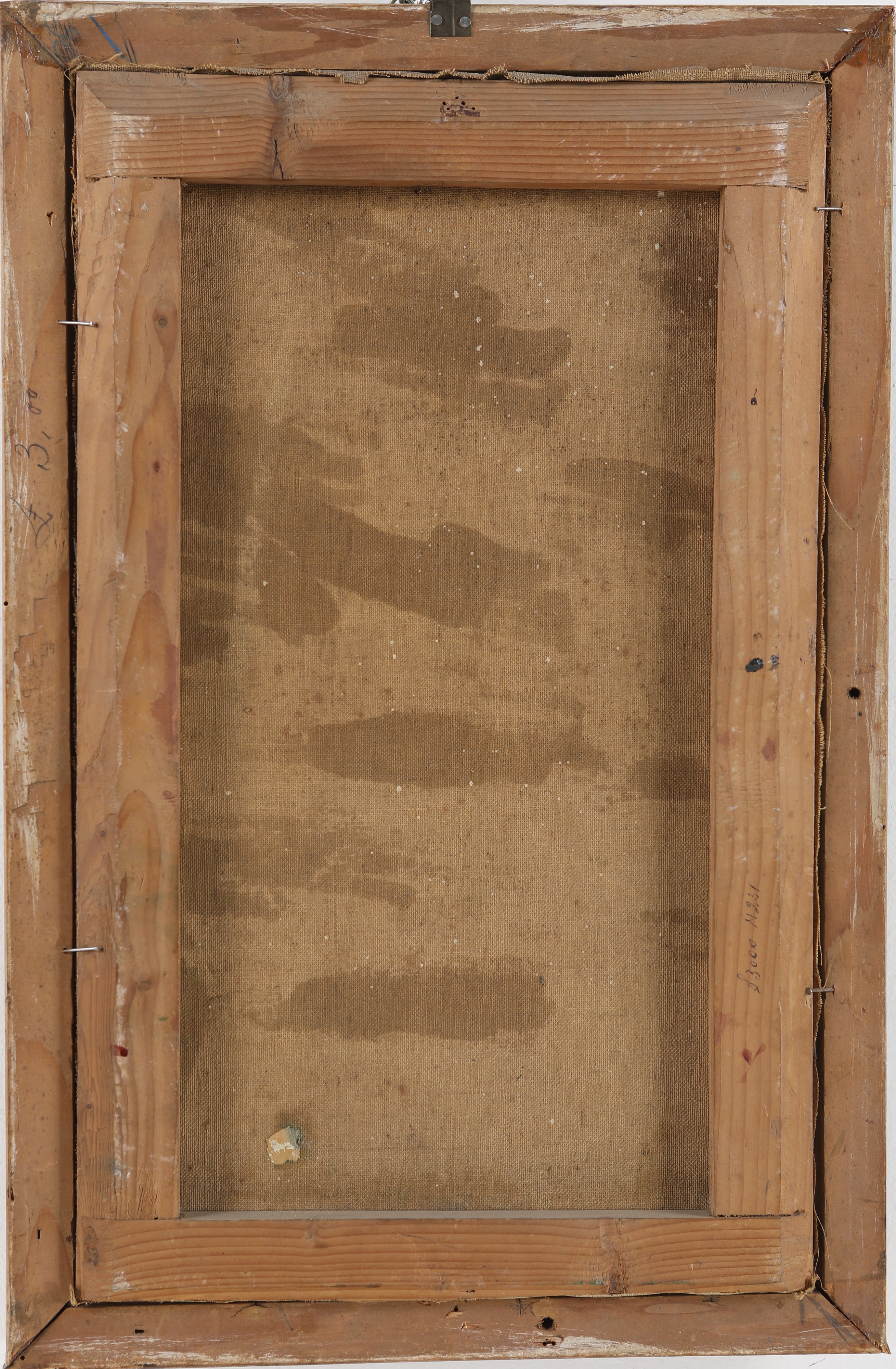 Cavalli in una pineta