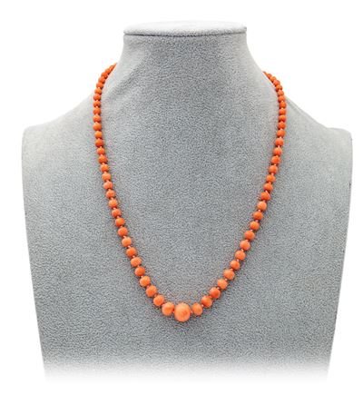 Collana in Corallo e Oro