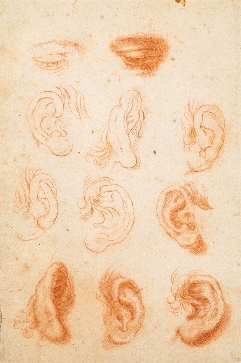 Studi di orecchie ed occhi