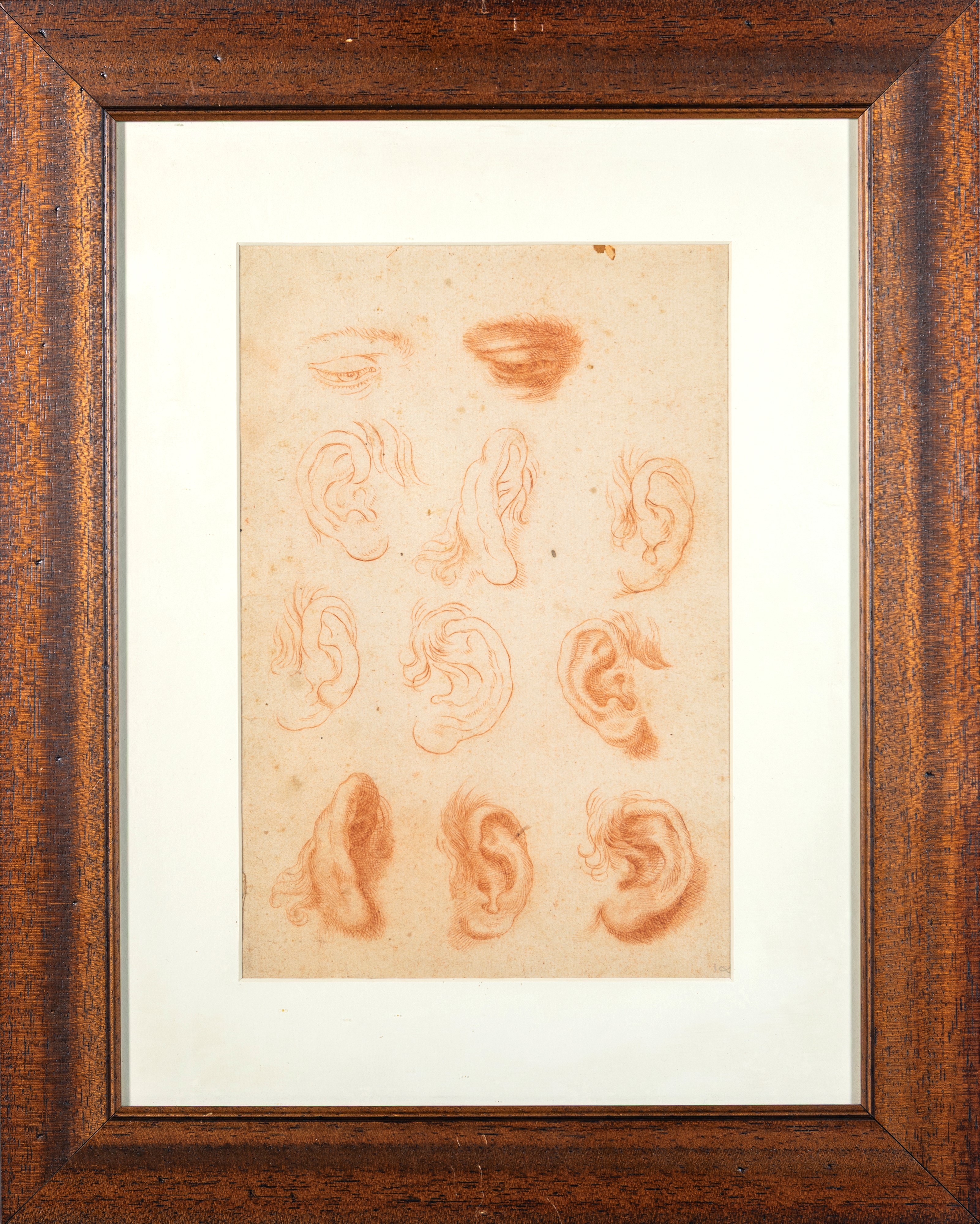 Studi di orecchie ed occhi