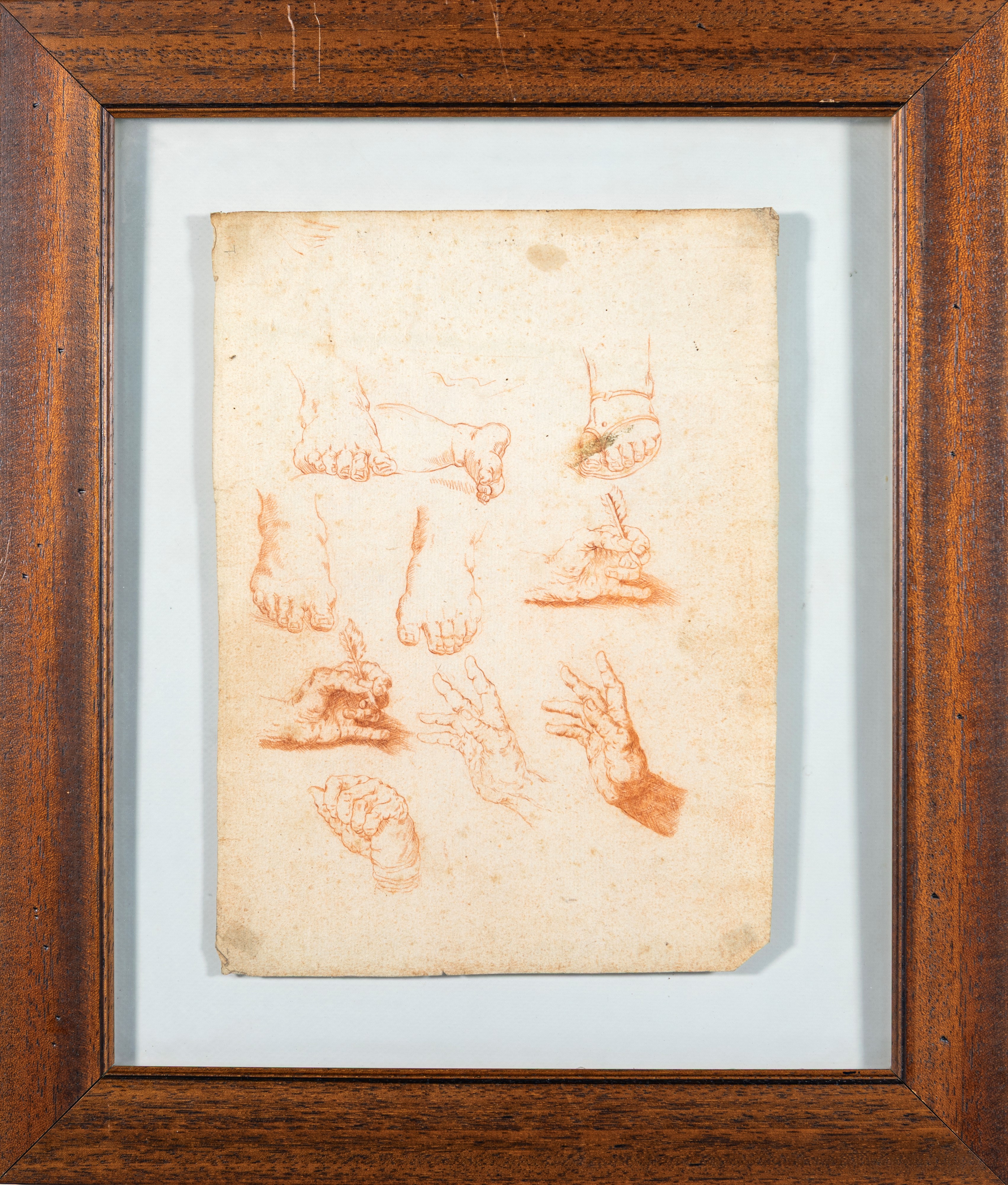 Recto: Studi di mani e piedi; Verso: Studi di mano