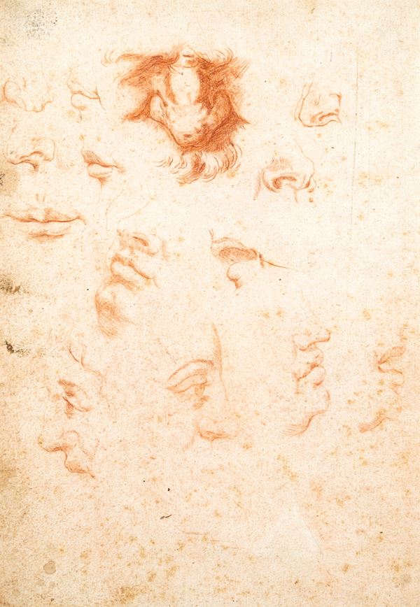 Studi di labbra, naso e profili maschili