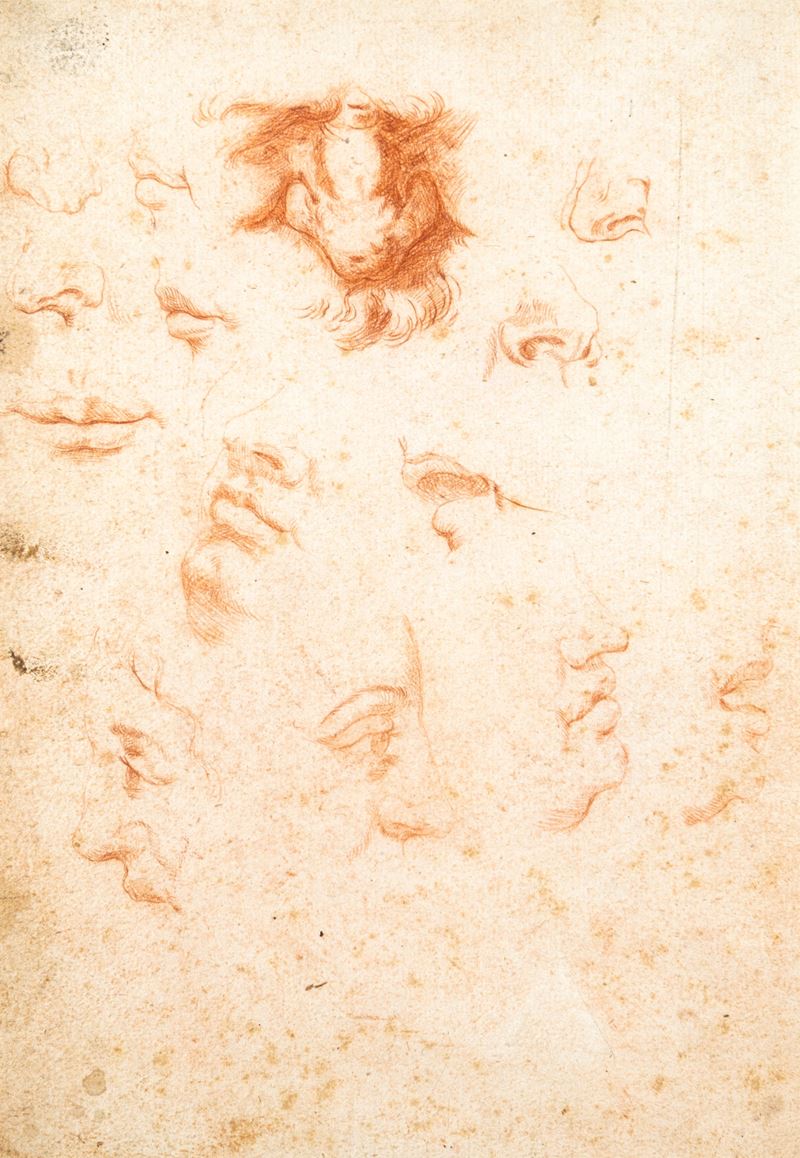 Pittore Accademico degli Inizi del XIX Secolo - Studi di Labbra, Naso e Profili Maschili